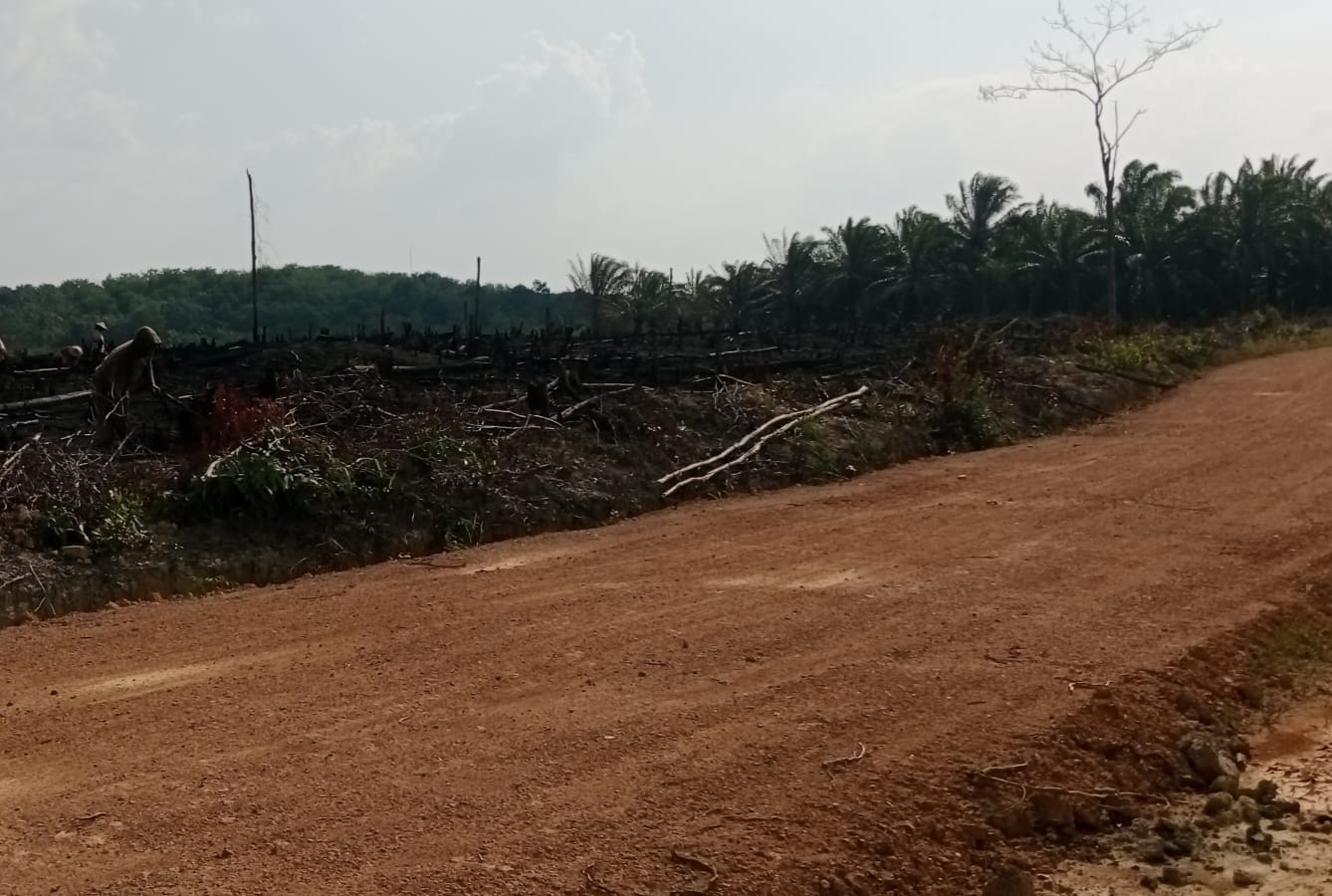 IMG-20241014-WA0063(1)