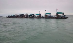 IMG-20250705-WA0016