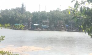 IMG-20251013-WA0099